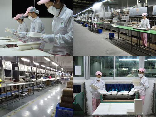 水果紙托定做 綠優(yōu)紙制品在廣州市場(chǎng)的優(yōu)勢(shì)與服務(wù)