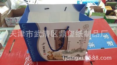 天津印刷廠家專(zhuān)業(yè)定做 紙質(zhì)手提袋與服裝手提袋圖片展示